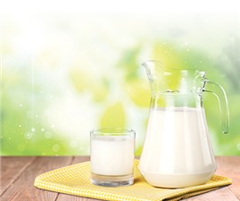 2022年世界牛奶日·全国乳品营养周专稿——探寻牛奶的世界