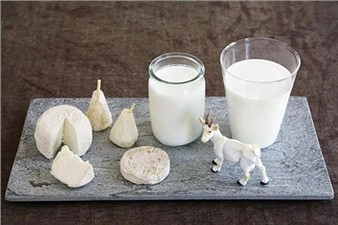2022年世界牛奶日·全国乳品营养周专稿——科普羊奶营养，推进全民健康